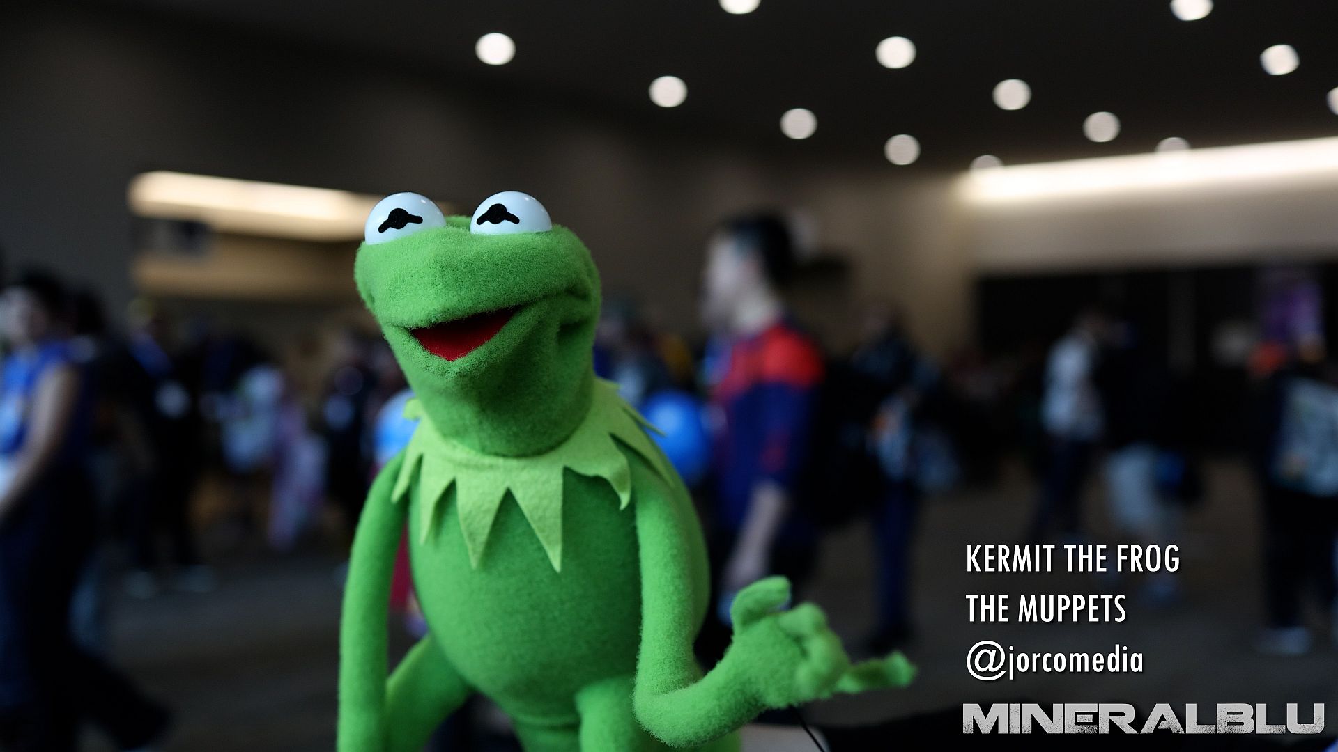 Kermit the Frog.